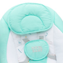 Huśtawka dziecięca New Baby Teddy Mint 43082